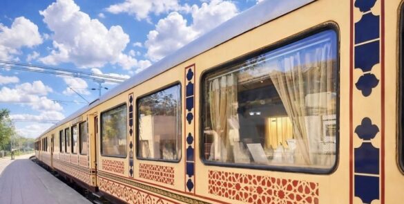 Palace on Wheels Tren