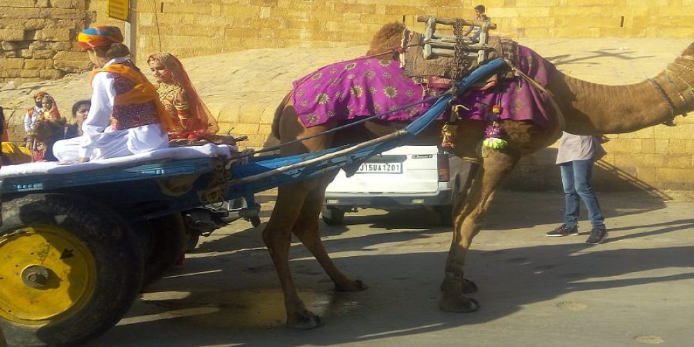 Procesion Religiosa En Jaisalmer